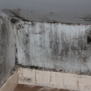 Household mold showing need to control humidity in the corner of a room.